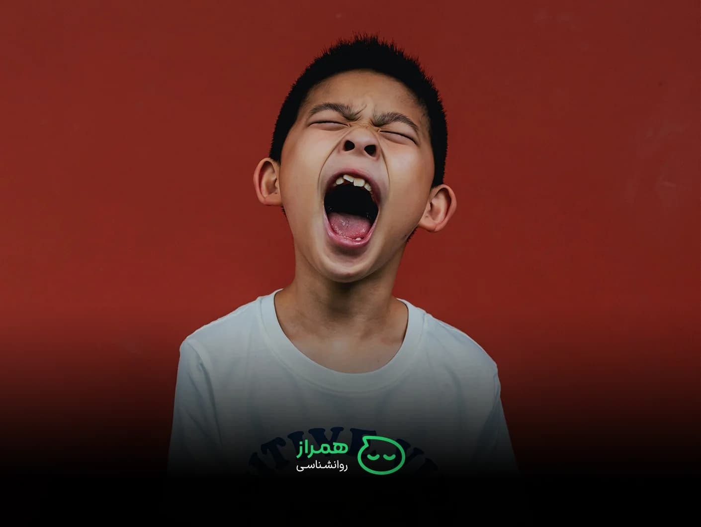 Angry boy screaming – emotional regulation and childhood frustration – Hamraz Psychology